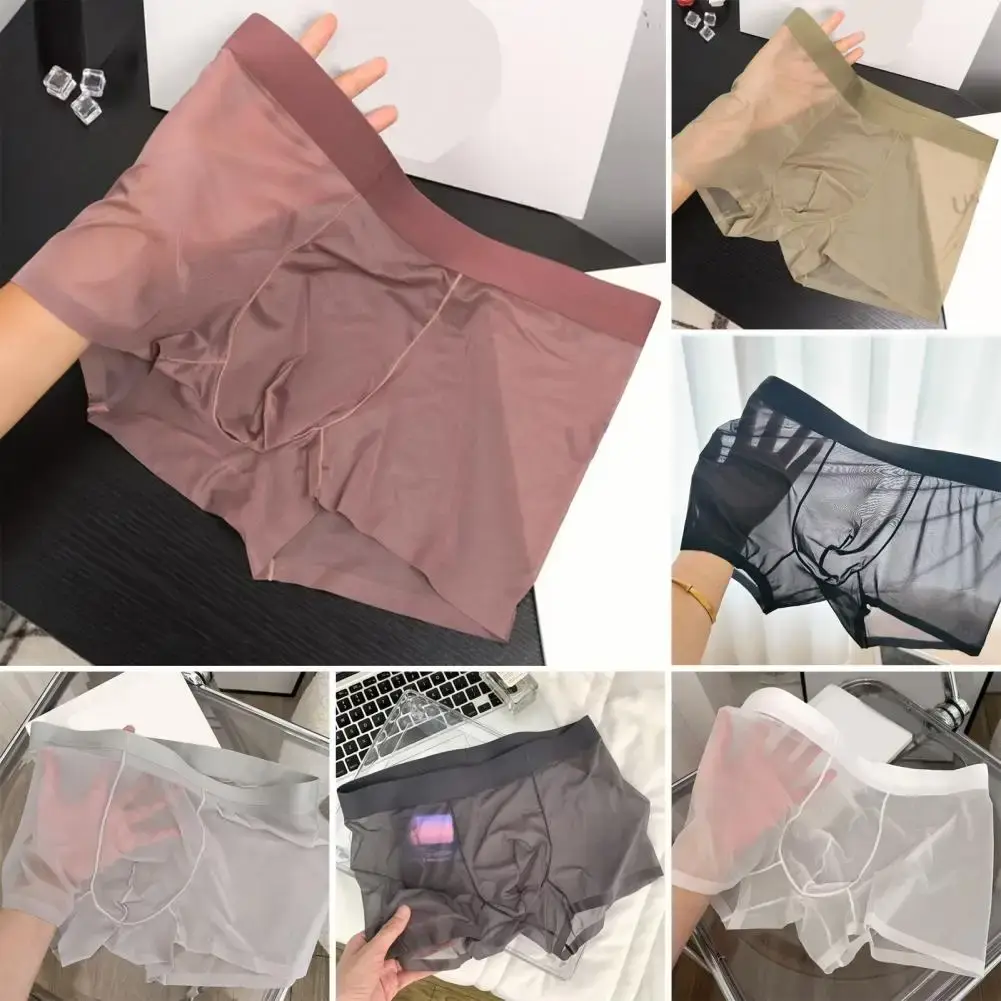 Boxer Transparent léger pour hommes, sous-vêtements élastiques, taille moyenne, convexe en U, short à Perspective fine, culotte sans couture