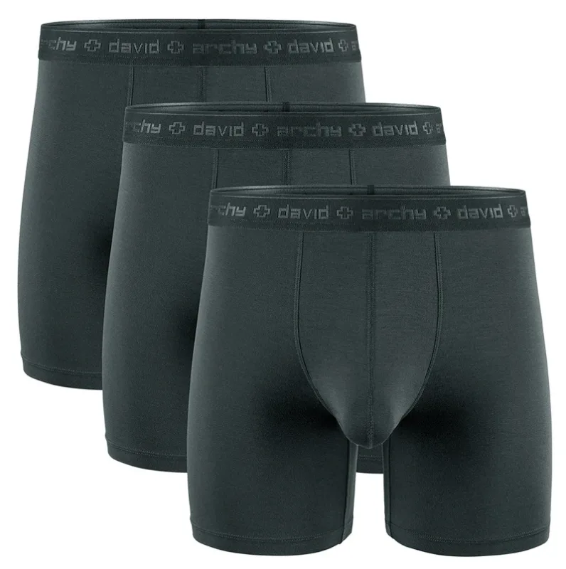 David Archy 3 Pack Mens Underwear Boxer Briefs Basic MicroModal Soft Breathable Mens Dual Pouch Boxers Quick Dry Sports Fitness