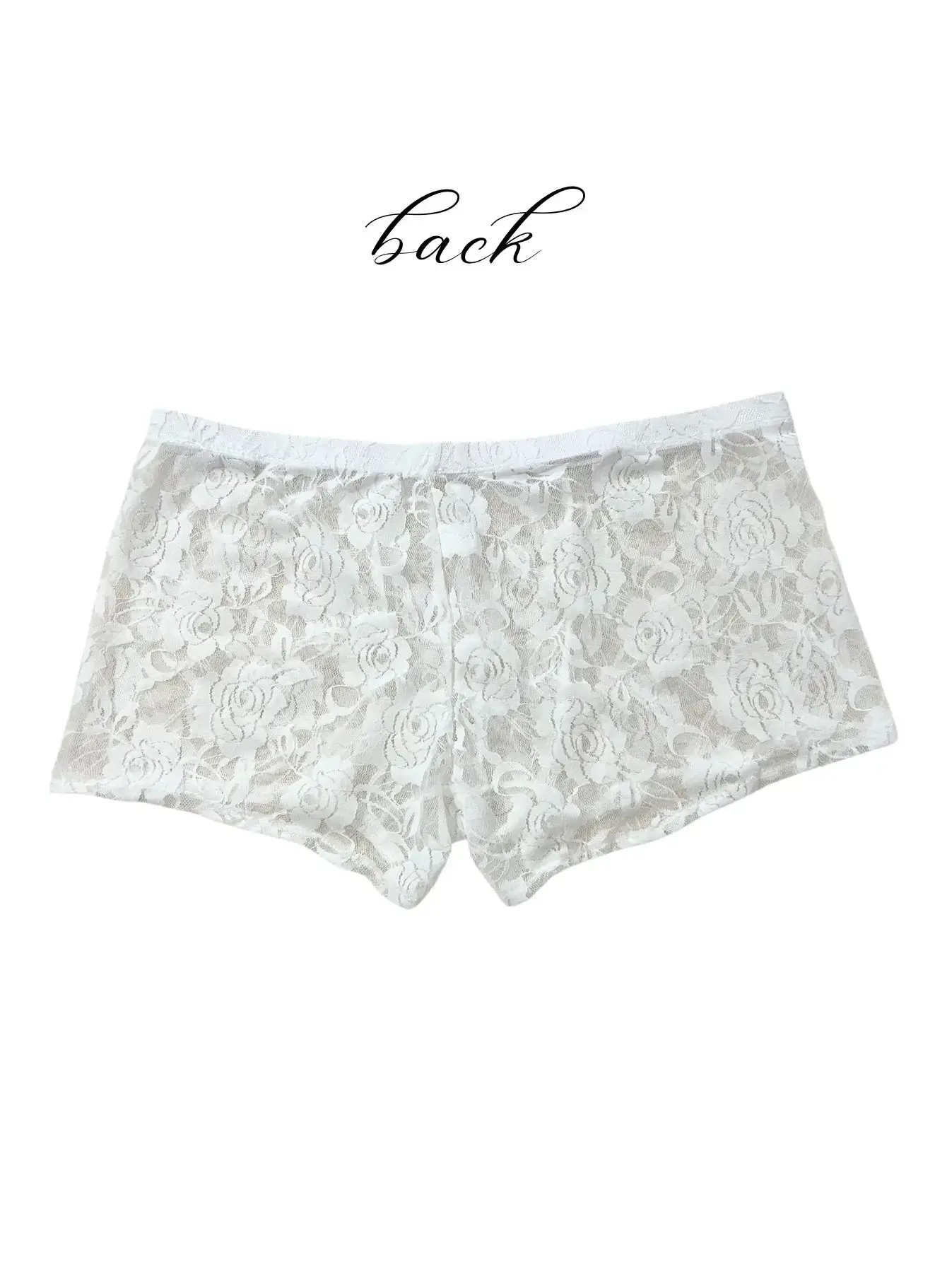 1Pc Men's Fashion New Design Sexy Lace Embroidery, High Elasticity Transparent Lace Flat Corner Underwear, Sexy, Ice Silk 3256811662670417