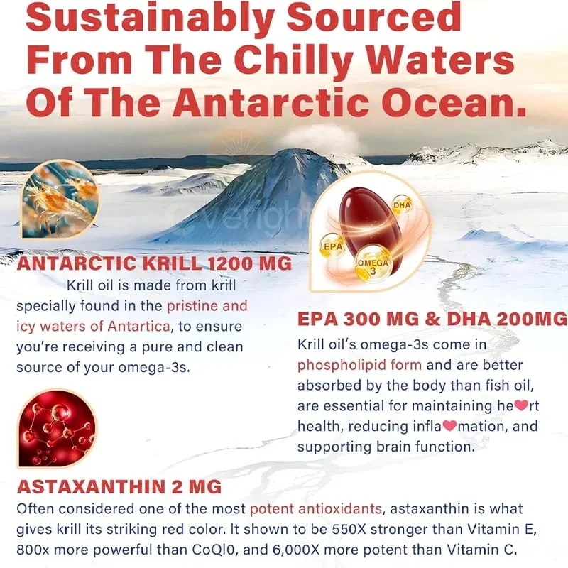 Huile de krill antarctique 1200 mg avec supplément d'oméga-3 EPA et DHA astaxanthine et phospholipides pour antioxydant du cerveau et des articulations du cœur — image 5