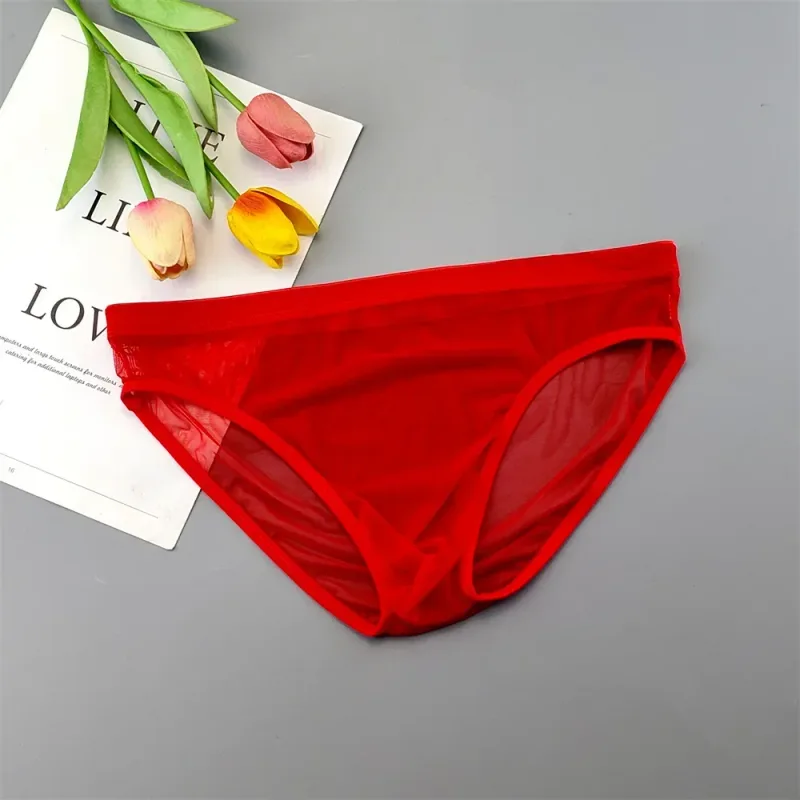 Sous-vêtements transparents de grande taille, slips Sexy pour hommes avec pochette en Nylon, slips respirants, culottes masculines XL-4XL