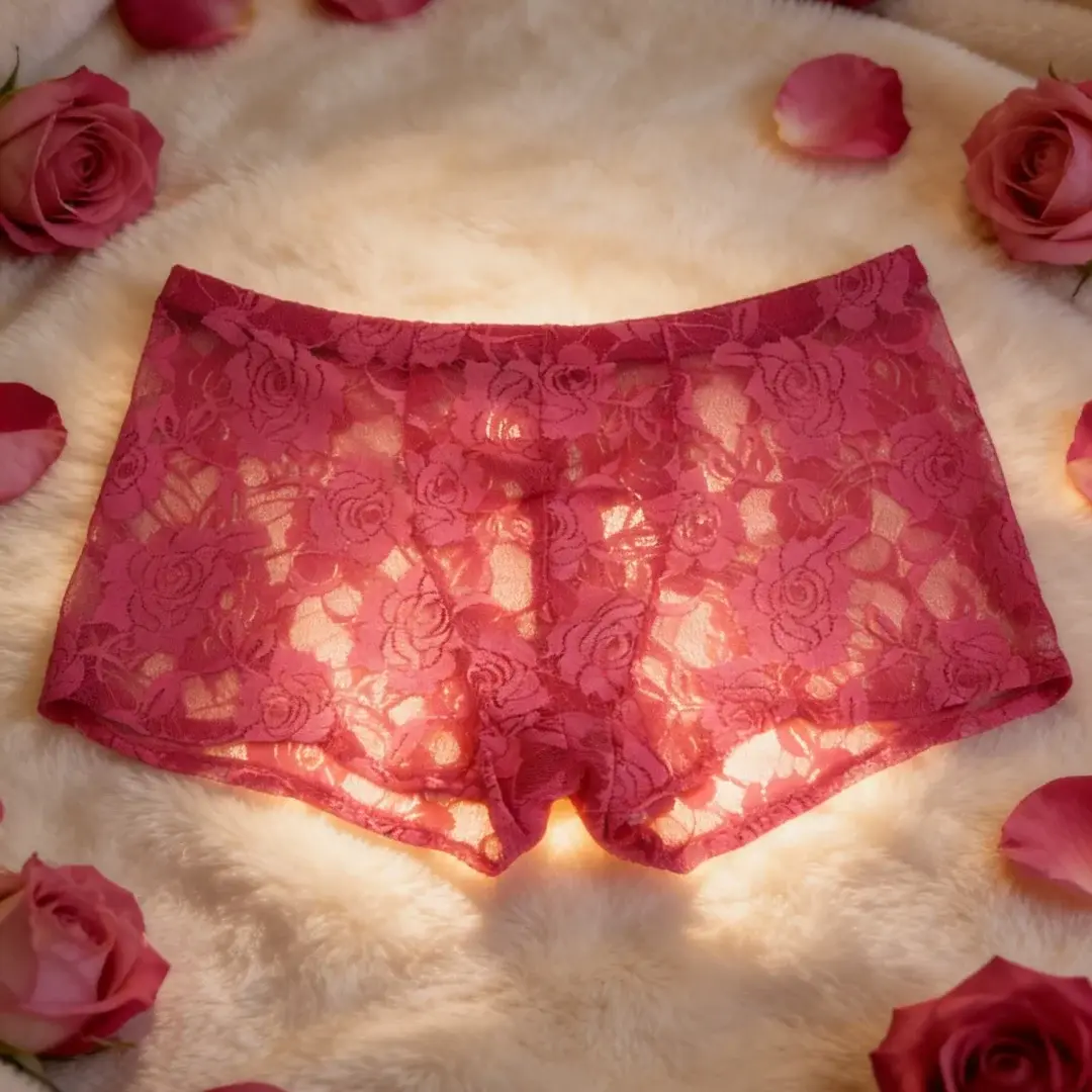 1Pc Men's Fashion New Design Sexy Lace Embroidery, High Elasticity Transparent Lace Flat Corner Underwear, Sexy, Ice Silk 3256811662670417