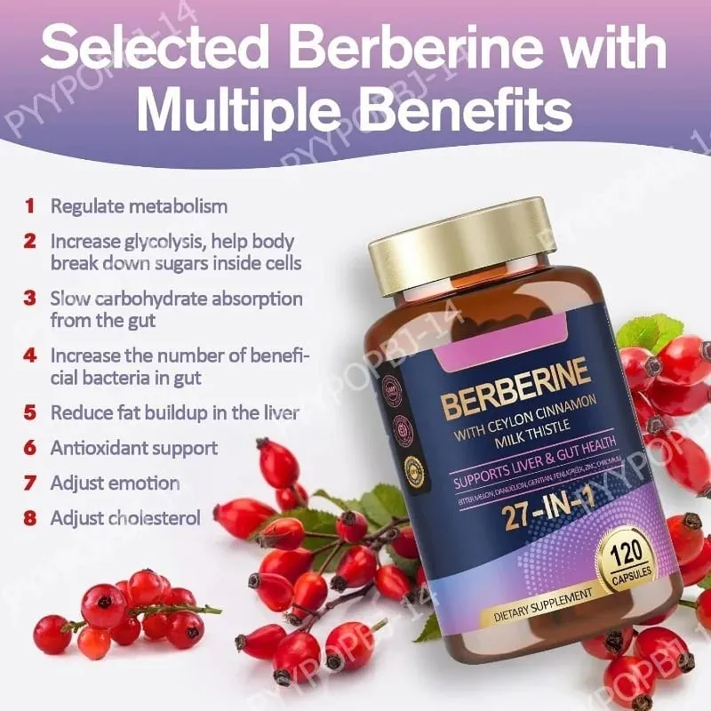 27 in 1 Berberine Supplement with Ceylon Cinnamon Milk Thistle for Liver Gut Health Immunity Men & Women 120 Vegan Capsules