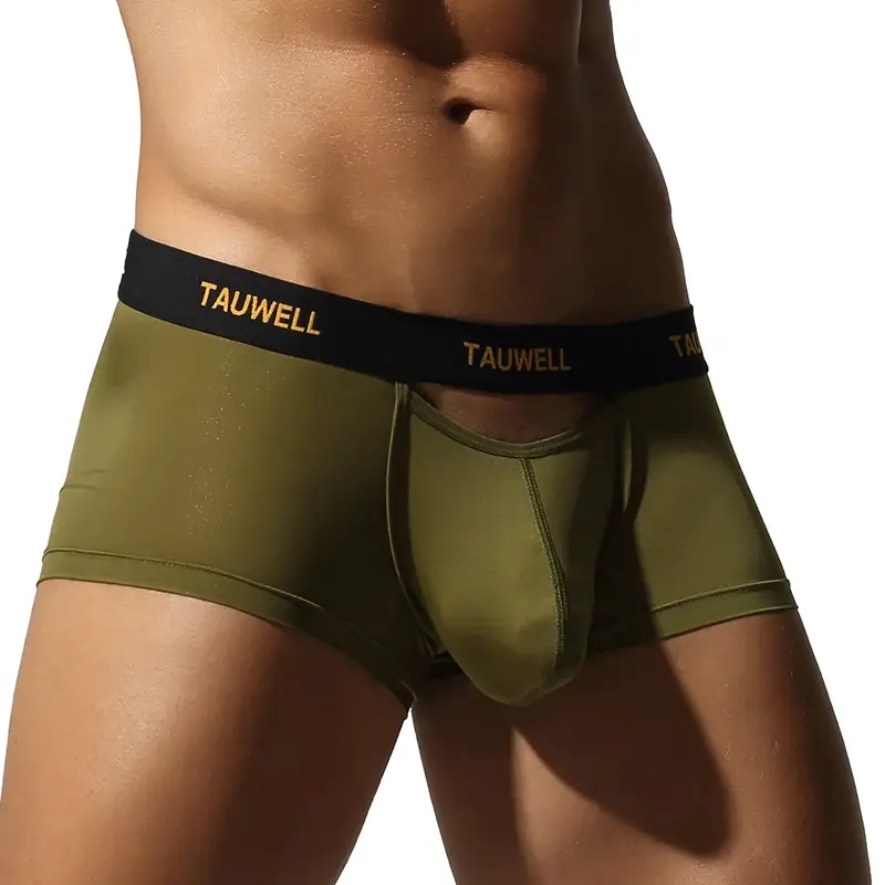 Men's Underwear Comfortable Cool Thin Sexy Semi-Transparent Flat Angle Pants with U-Shaped Pouch Briefs