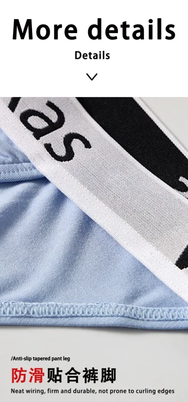 Men's High Cut Panties Soft Modal Fabric Low Rise Briefs Sexy Comfortable Underwear