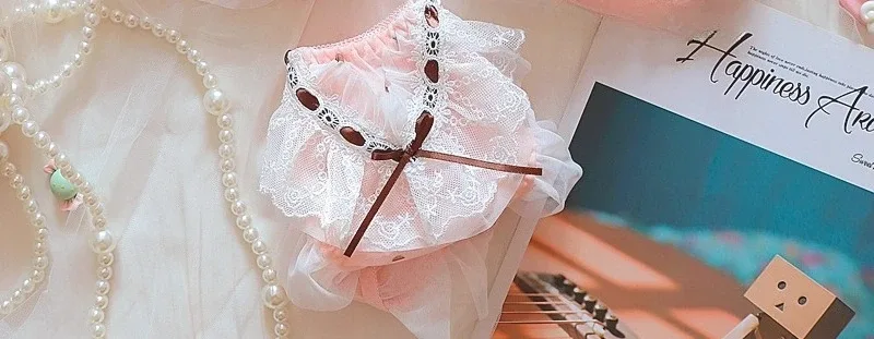 Japanese Style Cute Lace Bra Set with Underwire Light Push Up Support Sweet Sensual Look Teen Girls Autumn Winter Collection CA