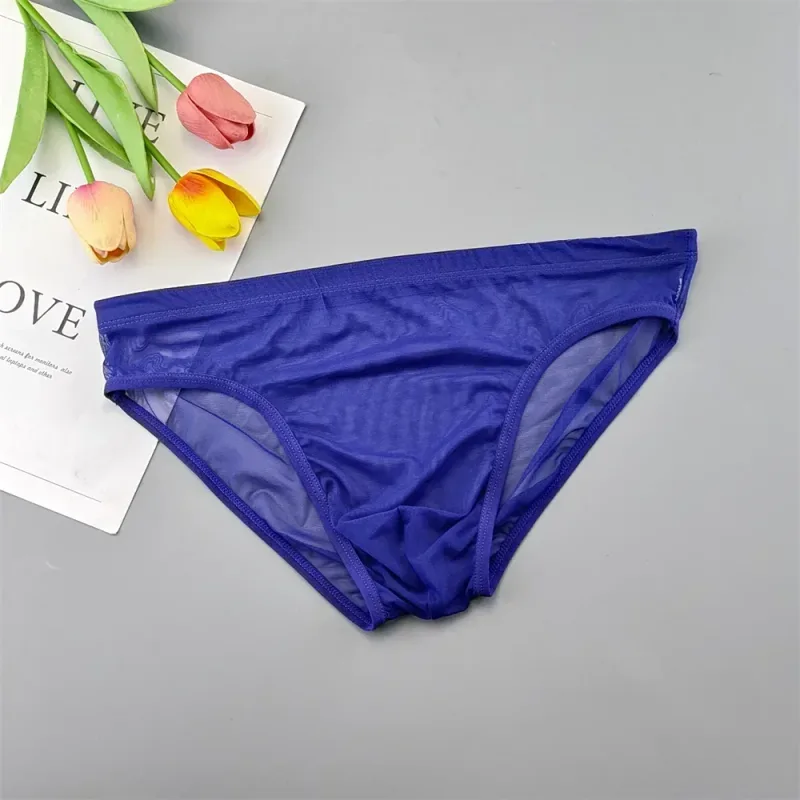 Sous-vêtements transparents de grande taille, slips Sexy pour hommes avec pochette en Nylon, slips respirants, culottes masculines XL-4XL