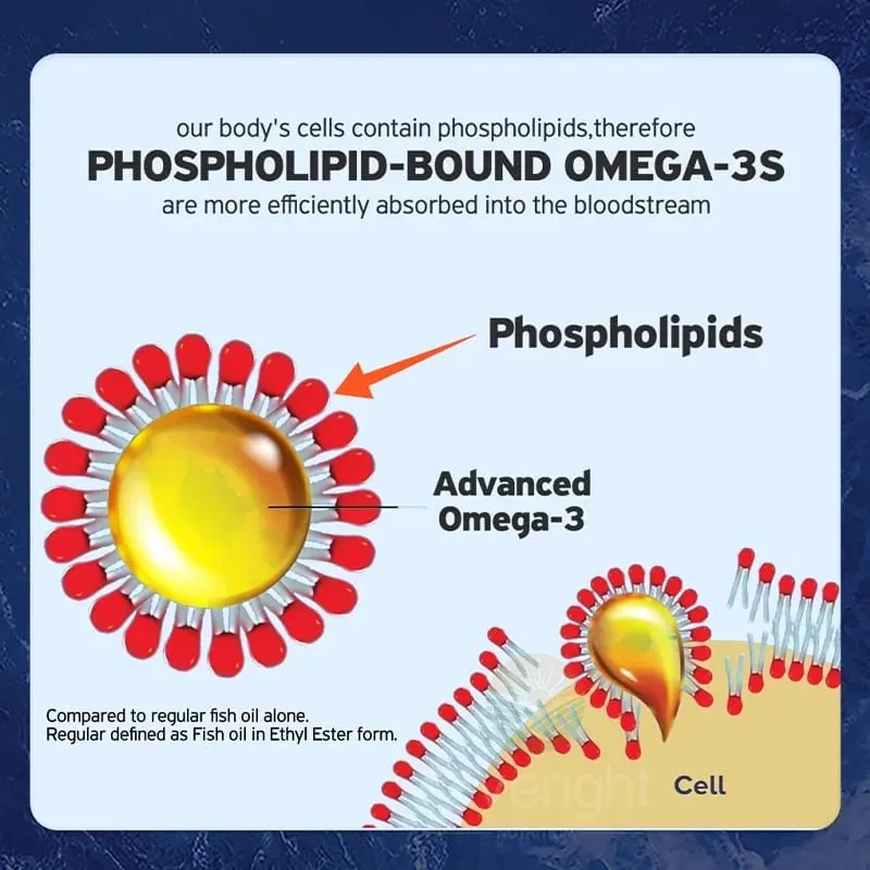 Krill Oil – Phospholipid Omega-3 Complex with Astaxanthin – Supports Lipid Management Metabolism Brain & Heart Health EPA/DHA