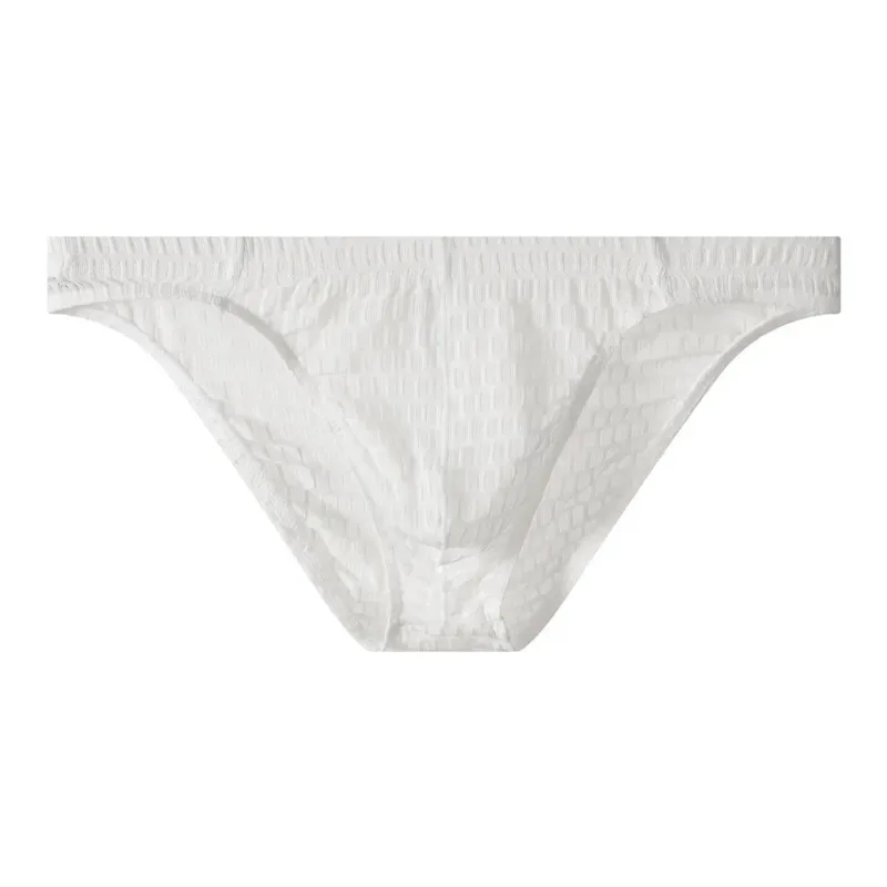 Men's Breathable See Through Underwear Briefs With Low-Waist Design And U Convex Pouch For Support And Comfort — image 3