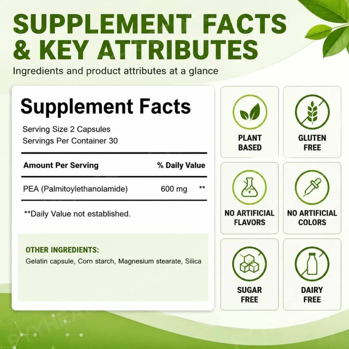 Docteat PEA 600mg Capsules Micronized Palmitoylethanolamide Supports Compound Balance Maintenance Comfort and Ease 60 Capsules — image 2
