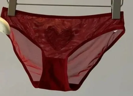 Red Lingerie Set Wireless Front Hook Bra French Triangle Thin Cup Embroidery Bra Set For Festival Soft Comfortable Daily Use