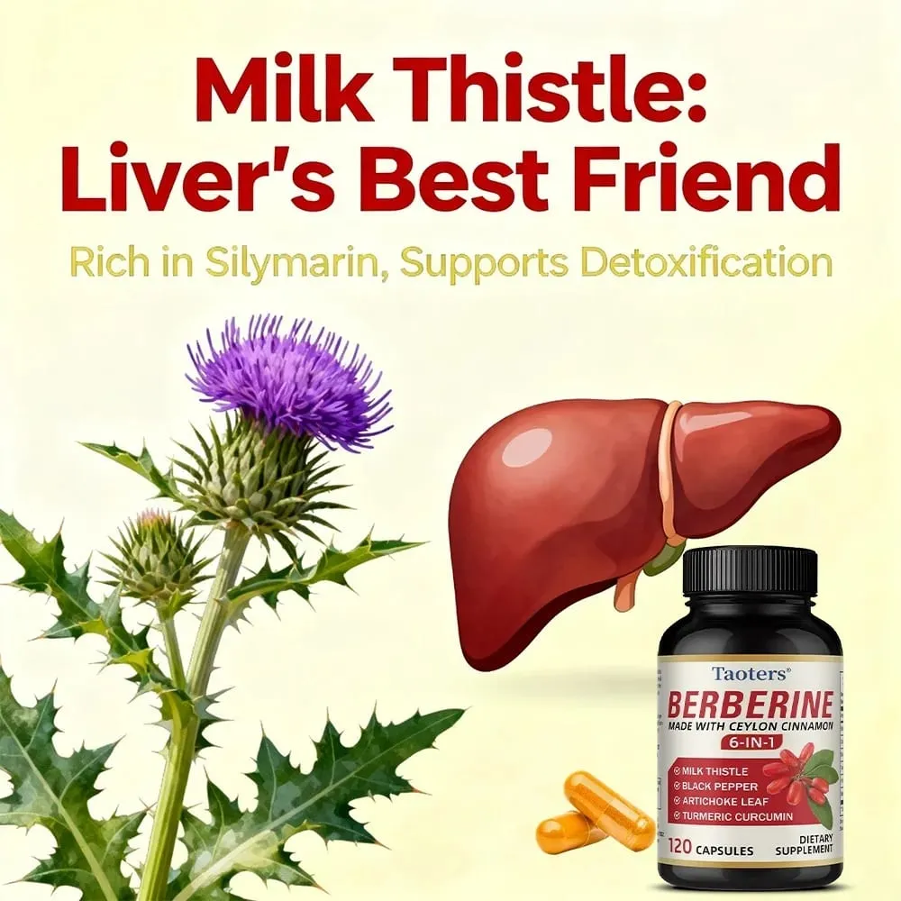 6 in 1 Supplement Berberine with Ceylon Cinnamon Turmeric Milk Thistle Artichoke Black Pepper Support Digestive Liver Health — image 2