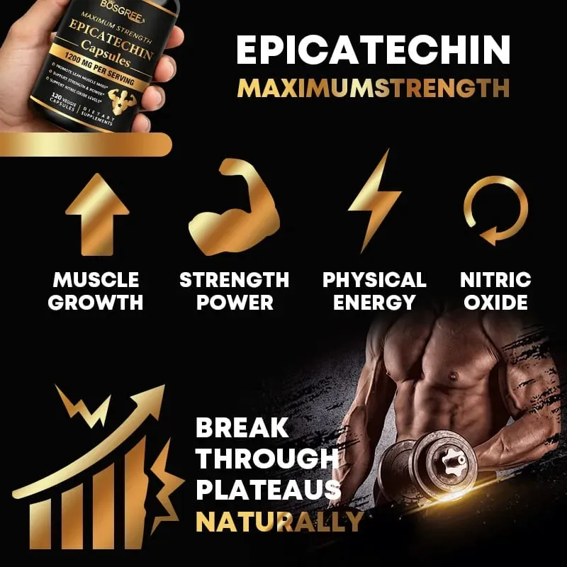 Epicatechin Capsules - Protein Synthesis Athletic Ability Strength and Lean Muscle Support - Carnosine Inhibitors Supplements
