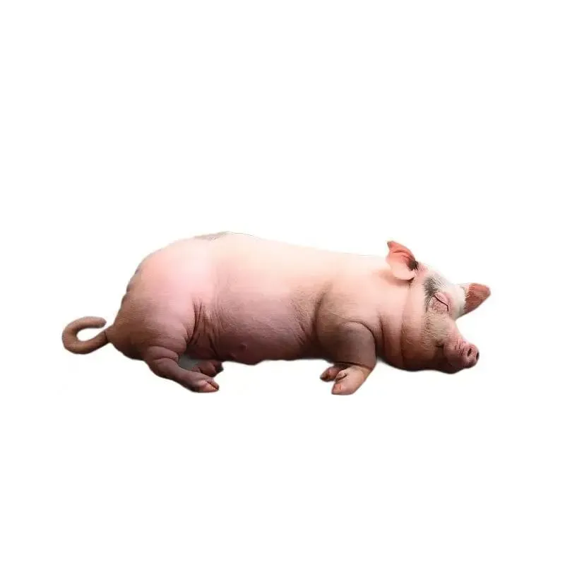 [Nouveau] jouets en peluche cochon endormis réalistes, en coton, poupée cochon imprimée réaliste, oreiller confortable et doux pour la maison, décoration de maison Kawaii