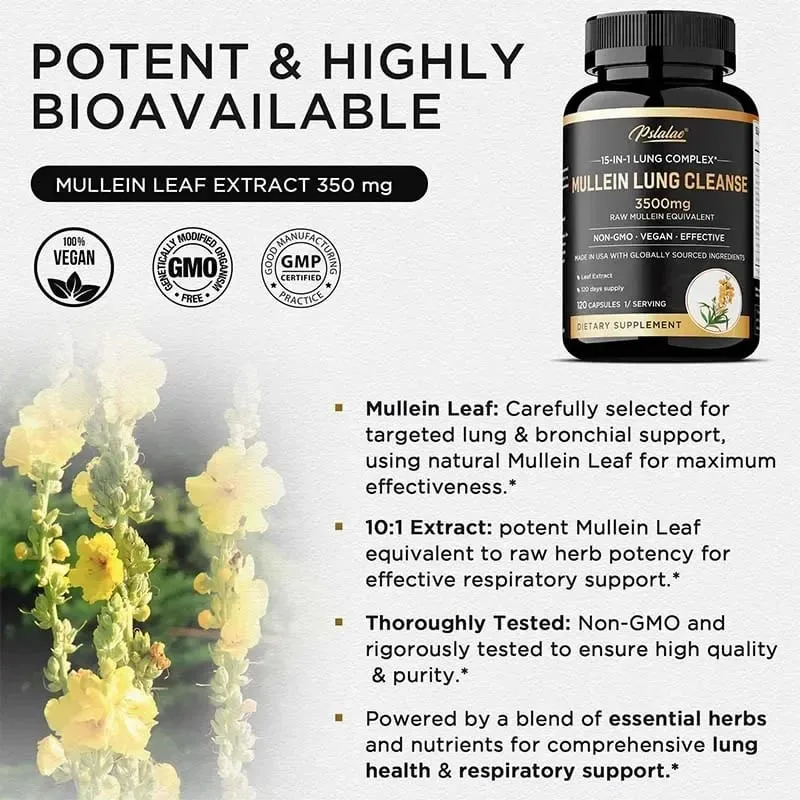 Mullein 清肺 - 吸菸者的呼吸補充品 素食膠囊 - 清肺 肺部健康 免疫補充劑 — image 5