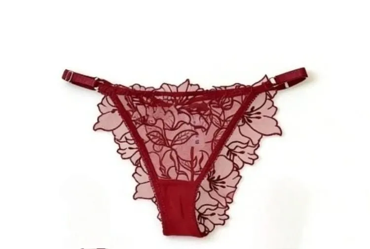 Padded Bra Set Small Bust | Lace Embroidered & Mesh Underwear Set with Soft Underwire Comfortable Demi Cup Sexy Tushy Panty PP
