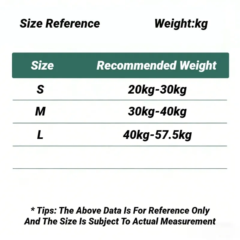 3Pcs Teenagers Comfortable Breathable Simple Training Bra Vest Soft Elastic Skin Friendly Lingerie For Girls No Steel Ring — image 7
