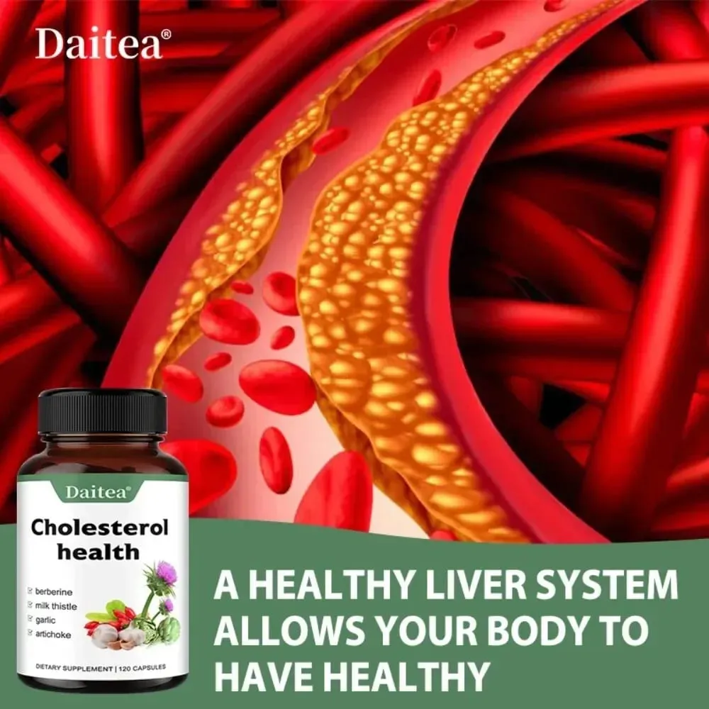 Cholesterol Supplements - Keep Blood Flowing and Promote Cardiovascular Health