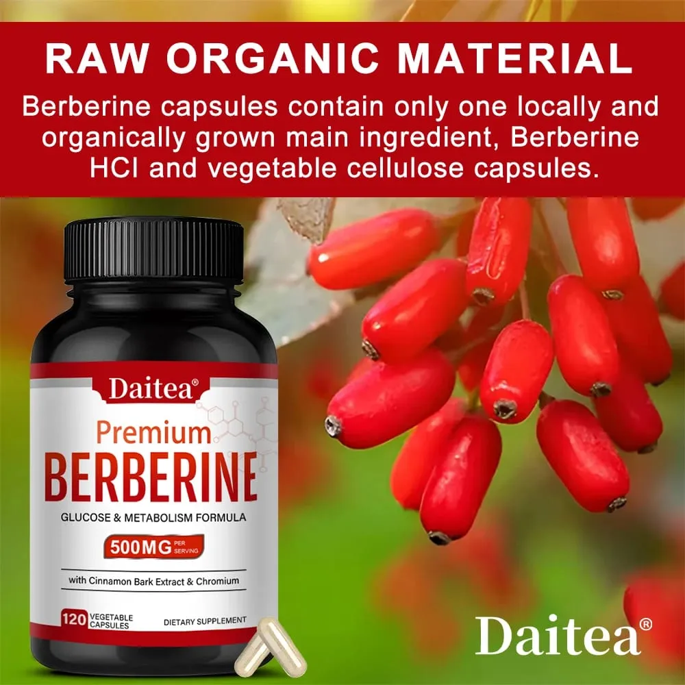 Berberine HCL 500mg Capsules with Cinnamon Antioxidant Support Heart Metabolic Cardiovascular Digestive & Immune Health