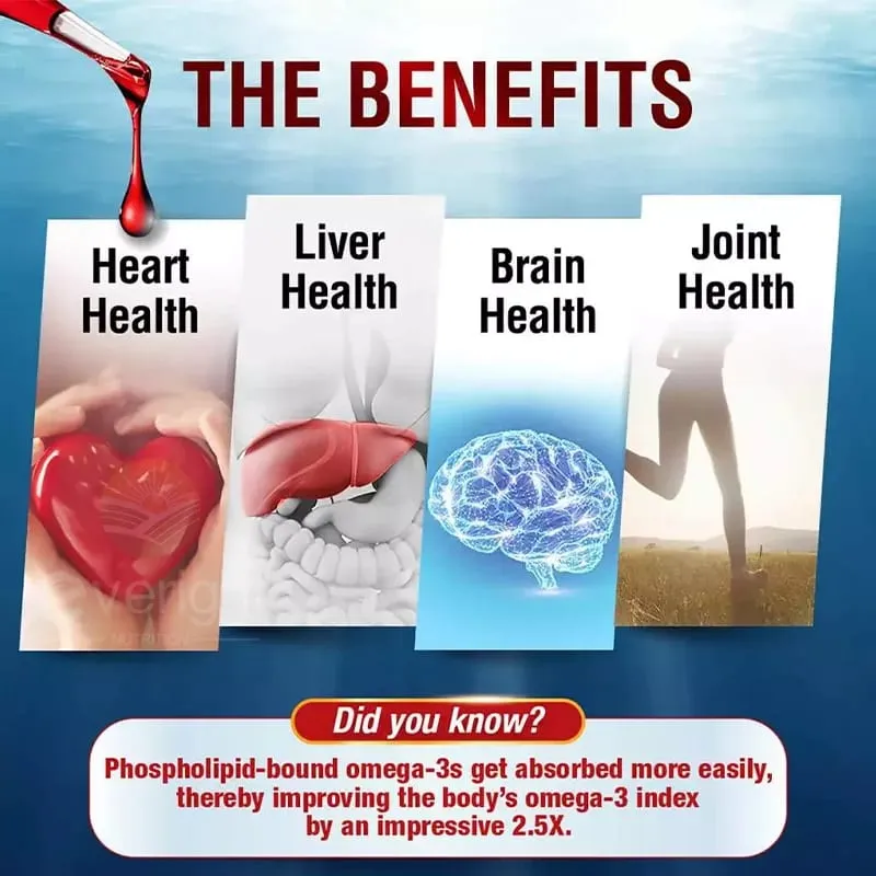 Krill Oil – Phospholipid Omega-3 Complex with Astaxanthin – Supports Lipid Management Metabolism Brain & Heart Health EPA/DHA