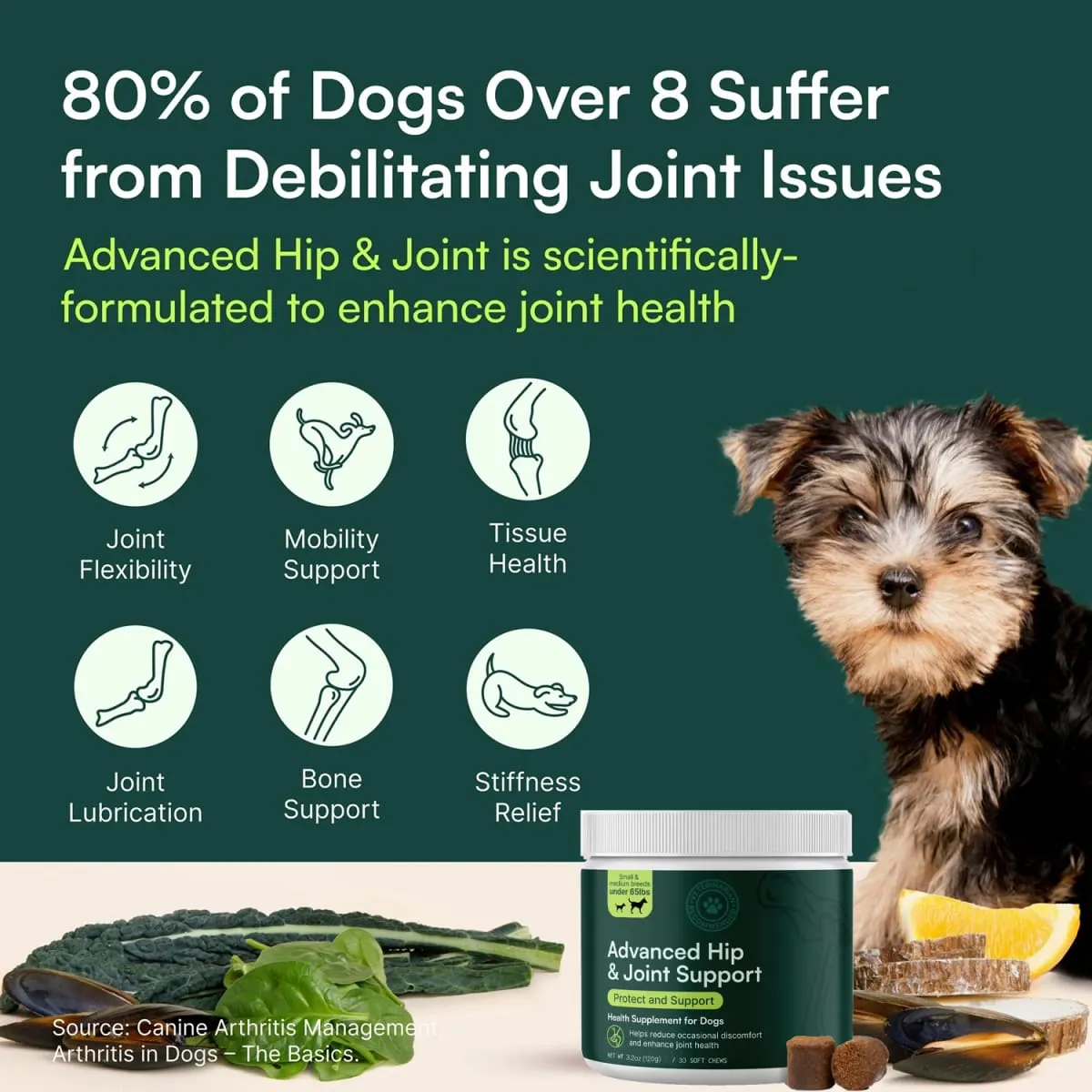 Advanced Dog Hip and Joint Supplement for Small & Medium Breeds Dog - Glucosamine Chondroitin Omega 3 MSM Green Lipped Mussel