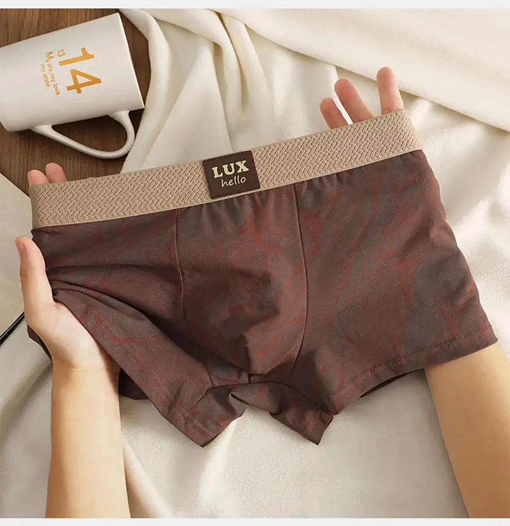 3 Cái/gói 100% Cotton Cao Cấp In Hình Võ Sĩ Hombre 3D Lưới Kháng Khuẩn Túi Quần Lót Mềm Mại Thoải Mái Quần Lót Nam — image 9