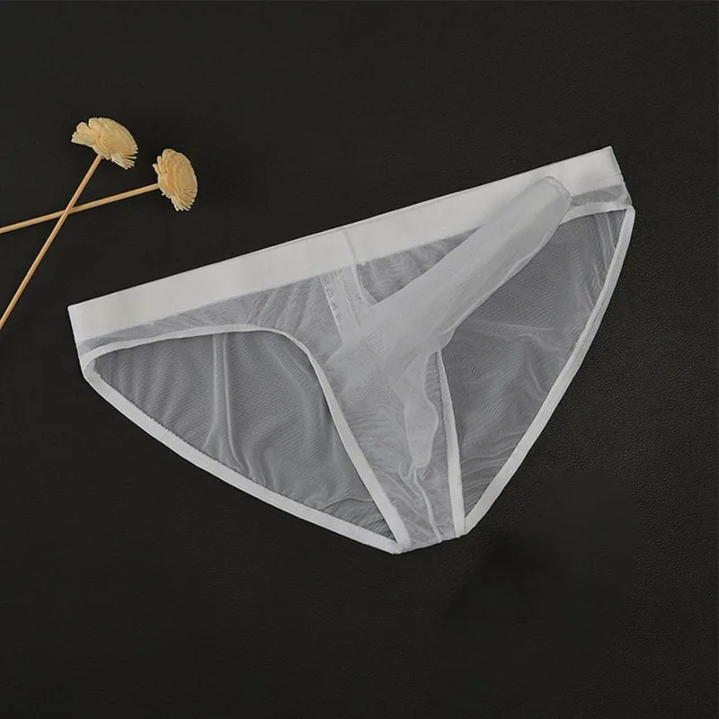 Men\'s Lightweight Mesh Briefs Transparent Elephant Nose Design Ultra Thin Breathable Quick Dry Low Waist Underpants