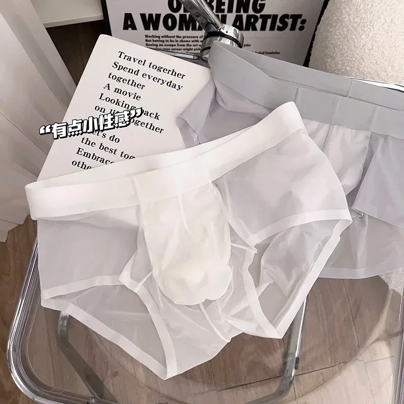 Slips transparents pour hommes Ultra-mince en soie glacée culotte à séchage rapide Sexy U poche bombée sous-vêtements pour hommes caleçons respirants Cuecas