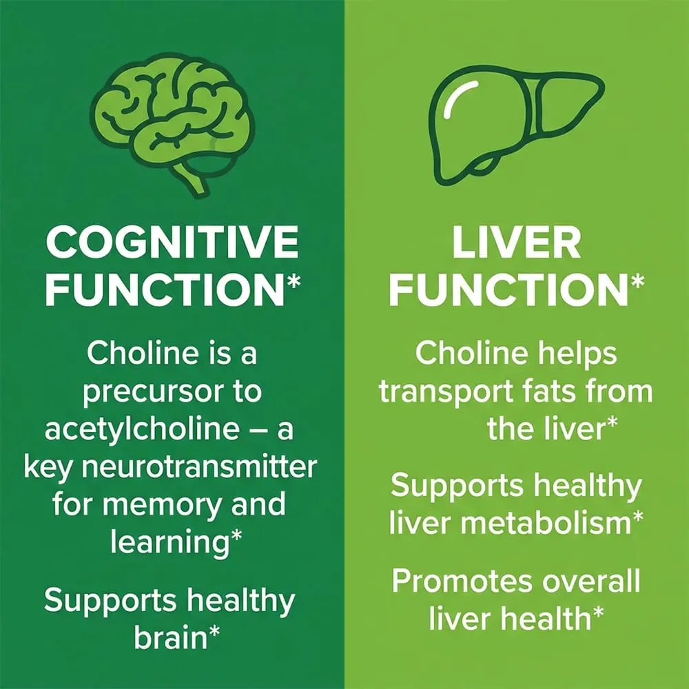 Choline 500mg - High Potency Choline Supplements Supports Cognitive Performance & Liver Function Vegan Capsules Non-GMO