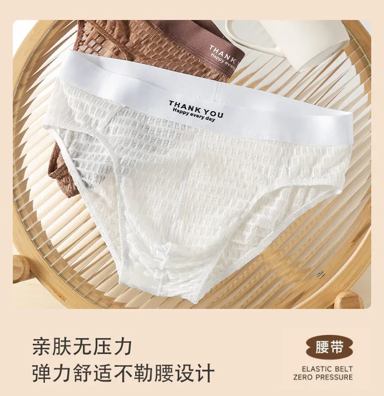 Transparent Mesh Underwear Male Ultra Thin Sheer Briefs Breathable Underpants Bulge Pouch Panties Soft Lingerie Low Rise Knicker
