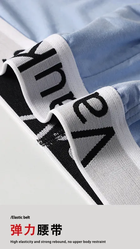 Men's High Cut Panties Soft Modal Fabric Low Rise Briefs Sexy Comfortable Underwear