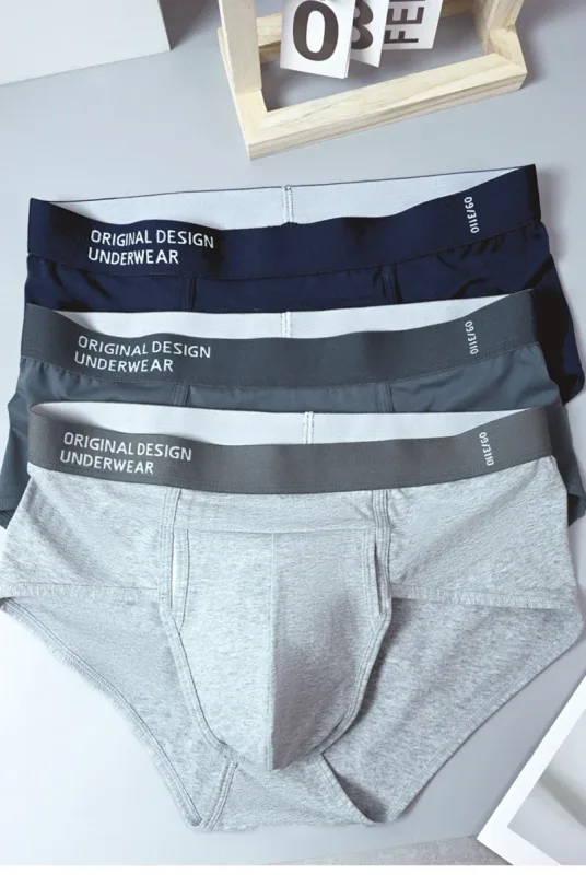 Men's Cotton Briefs High Quality Comfortable Underpants Breathable Soft Underwear Male Large Size U Bulge Pouch Panties Cueca