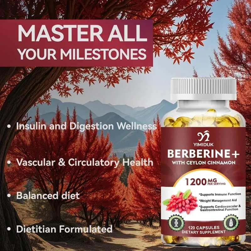 Berberine 1200mg Supplement Supports AMPK Activation Healthy Glucose Metabolism Immunity & Weight Control for Adults