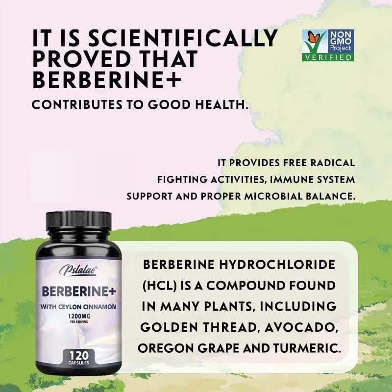 Berberine with Ceylon Cinnamon Capsules - Improve Digestion Supports Cellular Energy Metabolism Promotes Heart and Brain Health
