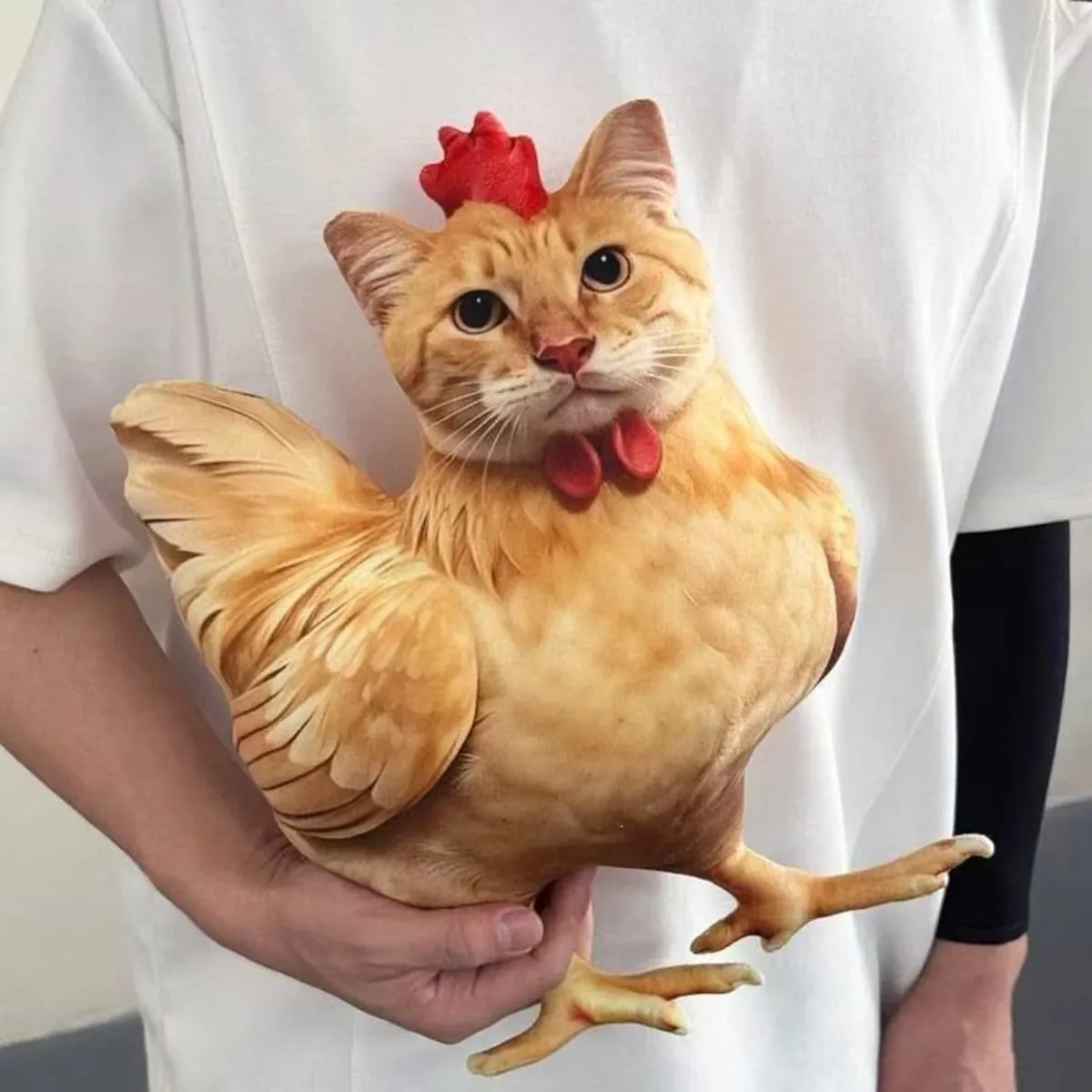 Gatto Pollo Divertente Novità Morbido Peluche Cuscino Simpatico Animale Farcito Cuscino per Divano 3D Arancione Tabby Gattino Bambola