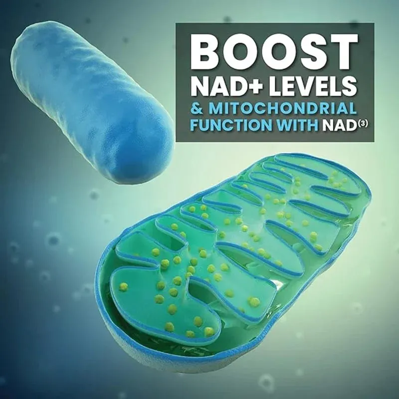 Supplément NAD Capsules Supplément liposomal NAD+ - Défense contre le vieillissement Énergie cellulaire Fonction cardiaque et cérébrale