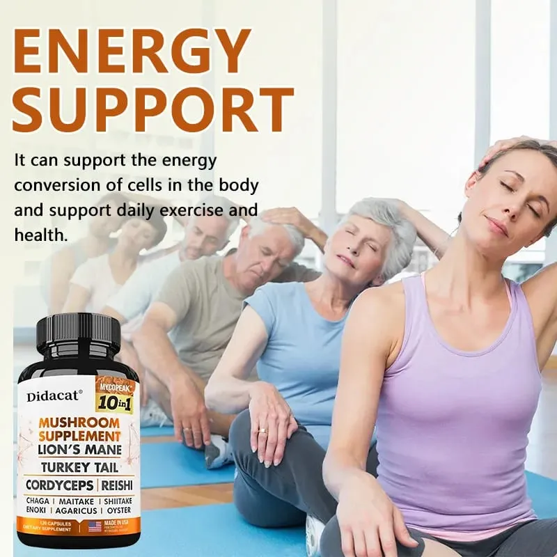 Didacat 10x Capsule Complesse di Funghi con Criniera di Leone Chaga Integratore Nootropico per il Cervello per la Memoria e l'Immunità — image 6