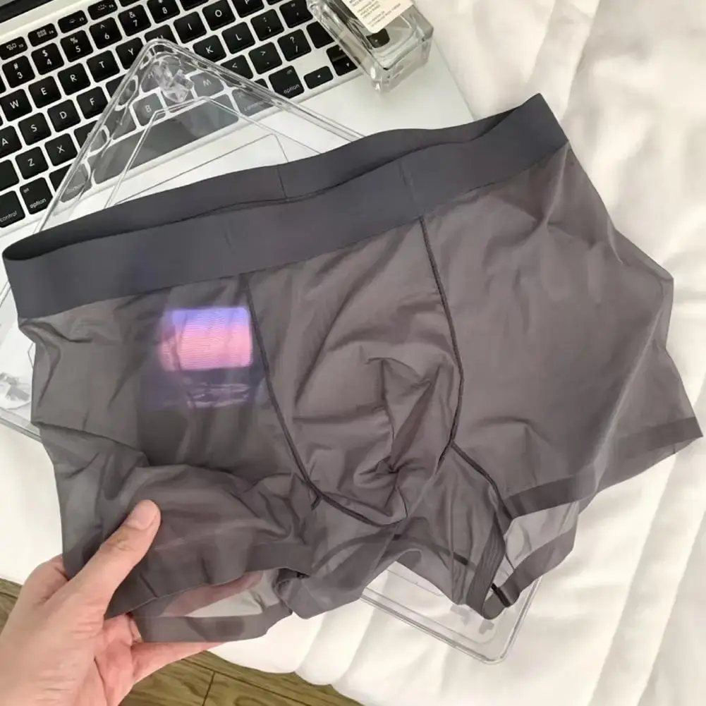 Boxer Transparent léger pour hommes, sous-vêtements élastiques, taille moyenne, convexe en U, short à Perspective fine, culotte sans couture