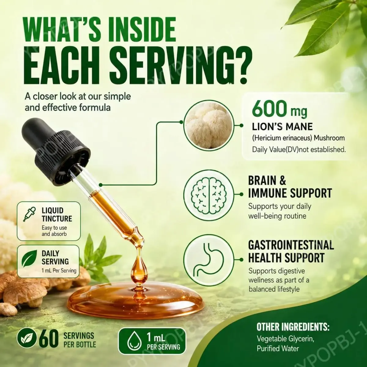 Lion's Mane Mushroom Tincture Liquid Brain & Immune Support and Gastrointestinal Health Support Lion's Mane 600 Mg 60 ML
