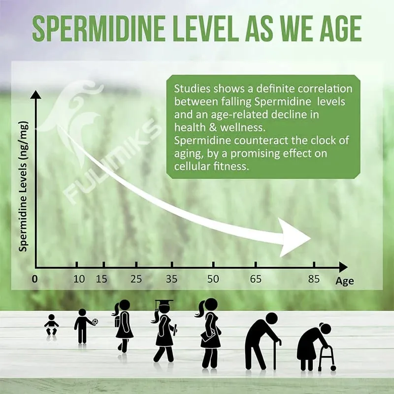 Spermidine 13mg Supplement Fermented Wheat Germ Extract Promotes Cellular renewal Anti-Aging Hair Growth & Immune Health