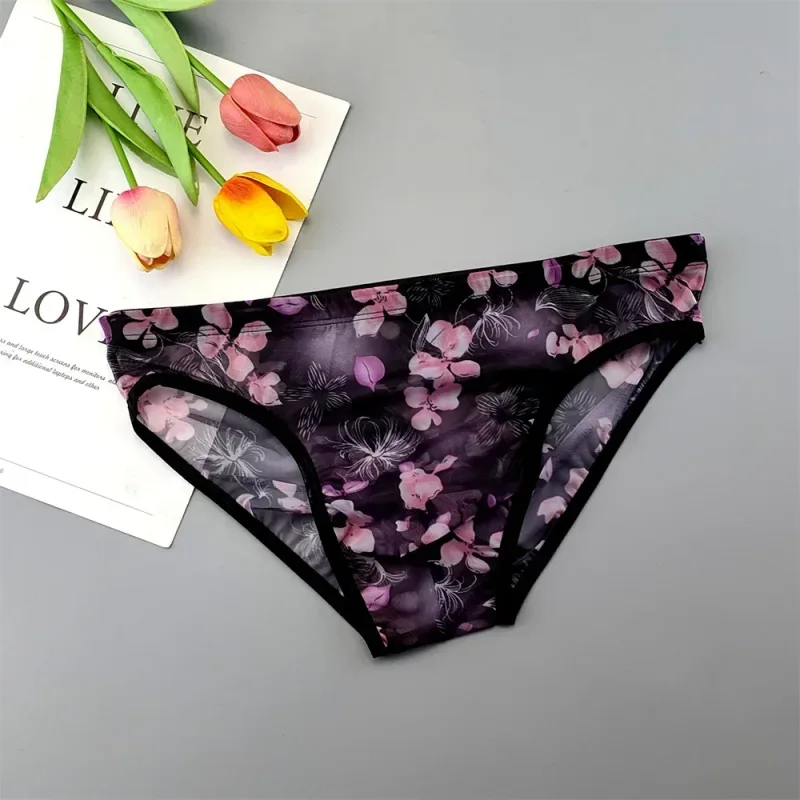 Sous-vêtements transparents de grande taille, slips Sexy pour hommes avec pochette en Nylon, slips respirants, culottes masculines XL-4XL