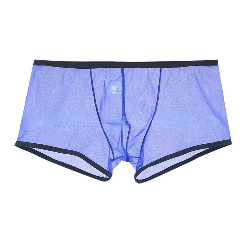Gli uomini vedono attraverso boxer ultrasottili pantaloncini U sacchetto convesso intimo mutandine mutande a vita bassa trasparenti Qucik-Dry