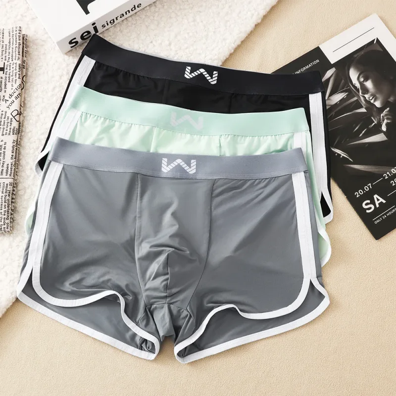 Caleçons en soie glacée pour hommes, 3 pièces/paquet, maille antibactérienne respirante, culotte à grande poche, taille haute élastique, Boxer pour hommes