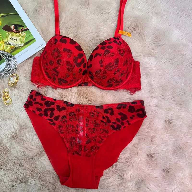 Leopard Bra Set Women Push Up Padded Lingerie Elegant Ladies Underwear Daily Bra and Panty Set