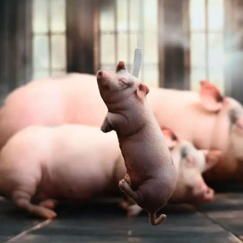 Cerdo durmiendo realista, juguete de peluche suave y esponjoso, almohada con relleno de Animal, decoración Adorable para habitación de niños, regalo de Acción de Gracias para la familia