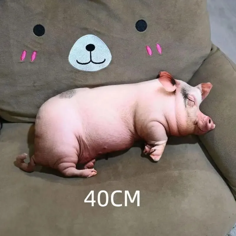 3D vycpaný polštář pro prasata Měkký omyvatelný látkový plyšový polštář pro pohovku do ložnice