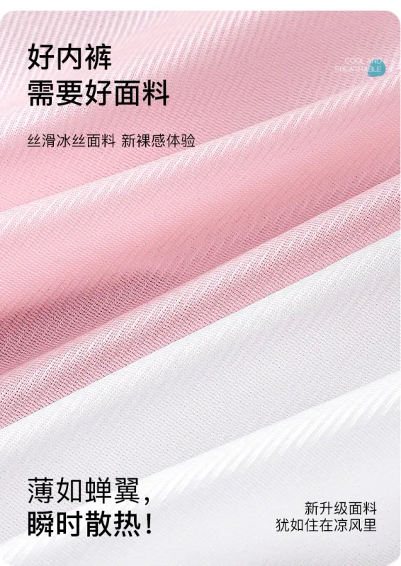 Large Size Men Sexy Panties Silky Satin Bugle Pouch Underwear Lace See Through Brief High Elastic Soft Underpant Bikini Lingerie