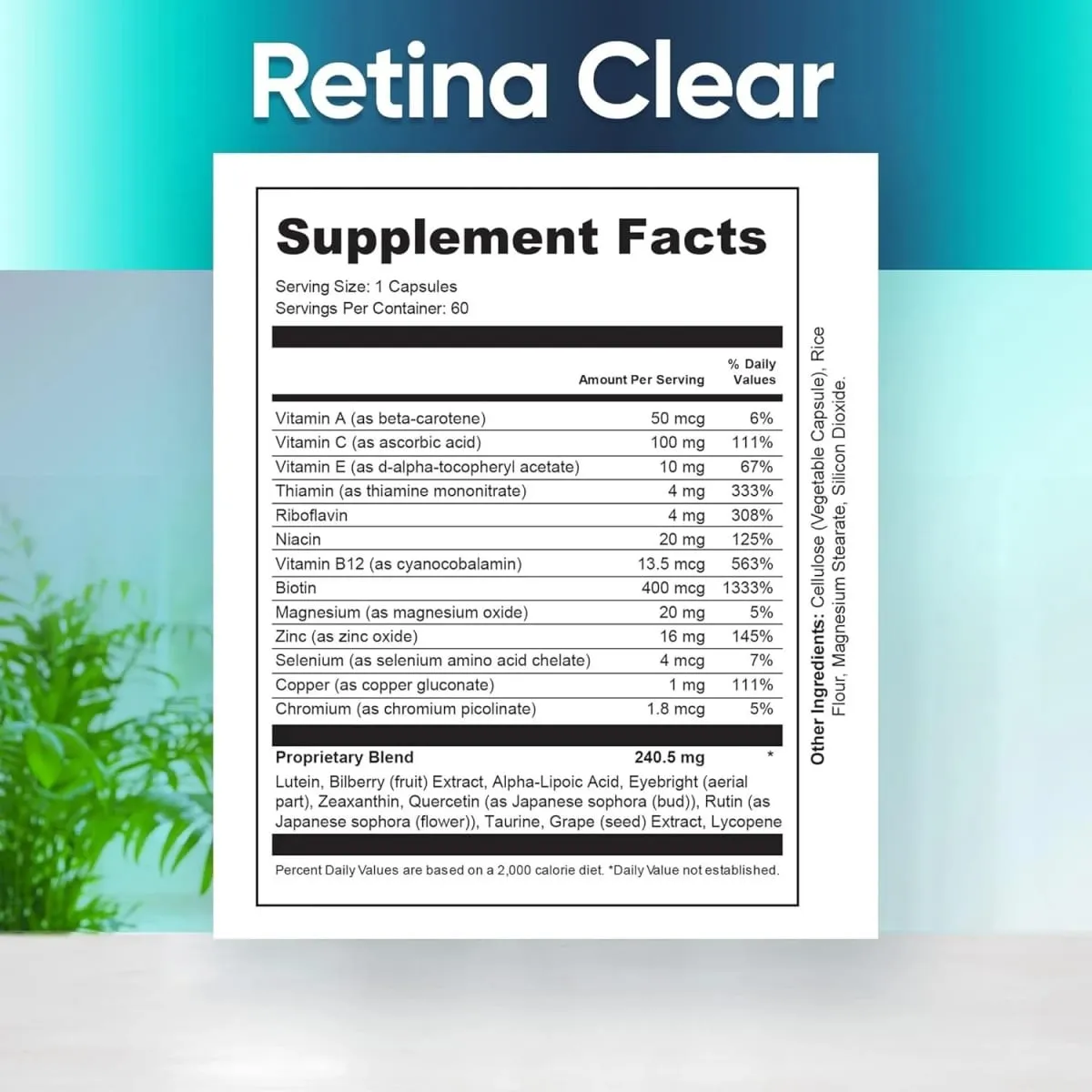 Vision Supplement – Eye Health Formula with Lutein Zeaxanthin Quercetin & Vitamin Supports Visual Clarity Eye Fatigue Relief