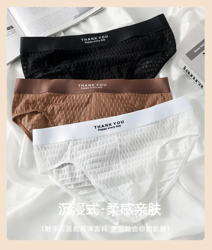 Transparent Mesh Underwear Male Ultra Thin Sheer Briefs Breathable Underpants Bulge Pouch Panties Soft Lingerie Low Rise Knicker