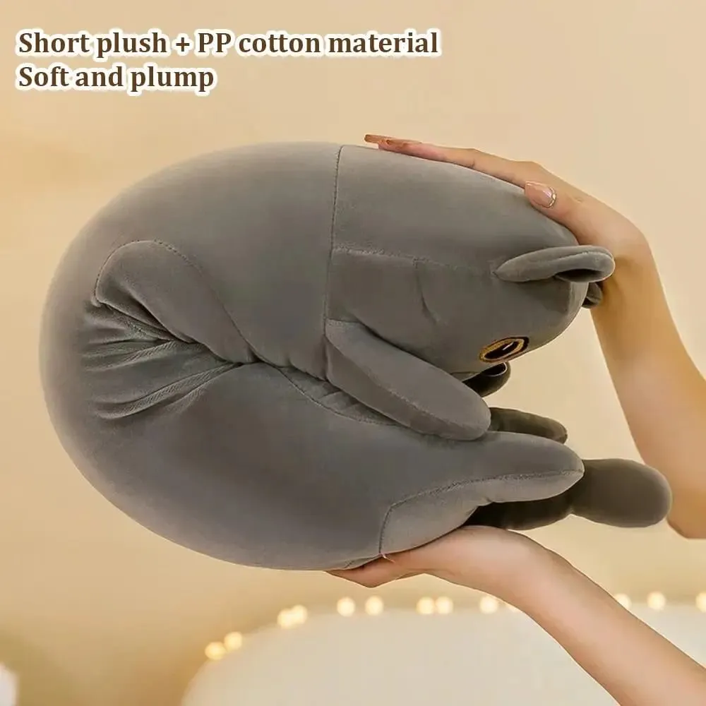 Lindo juguete de peluche de gato de 50/70cm, almohada blanda para dormir reparador, encantador y creativo Animal relleno, regalos de cumpleaños